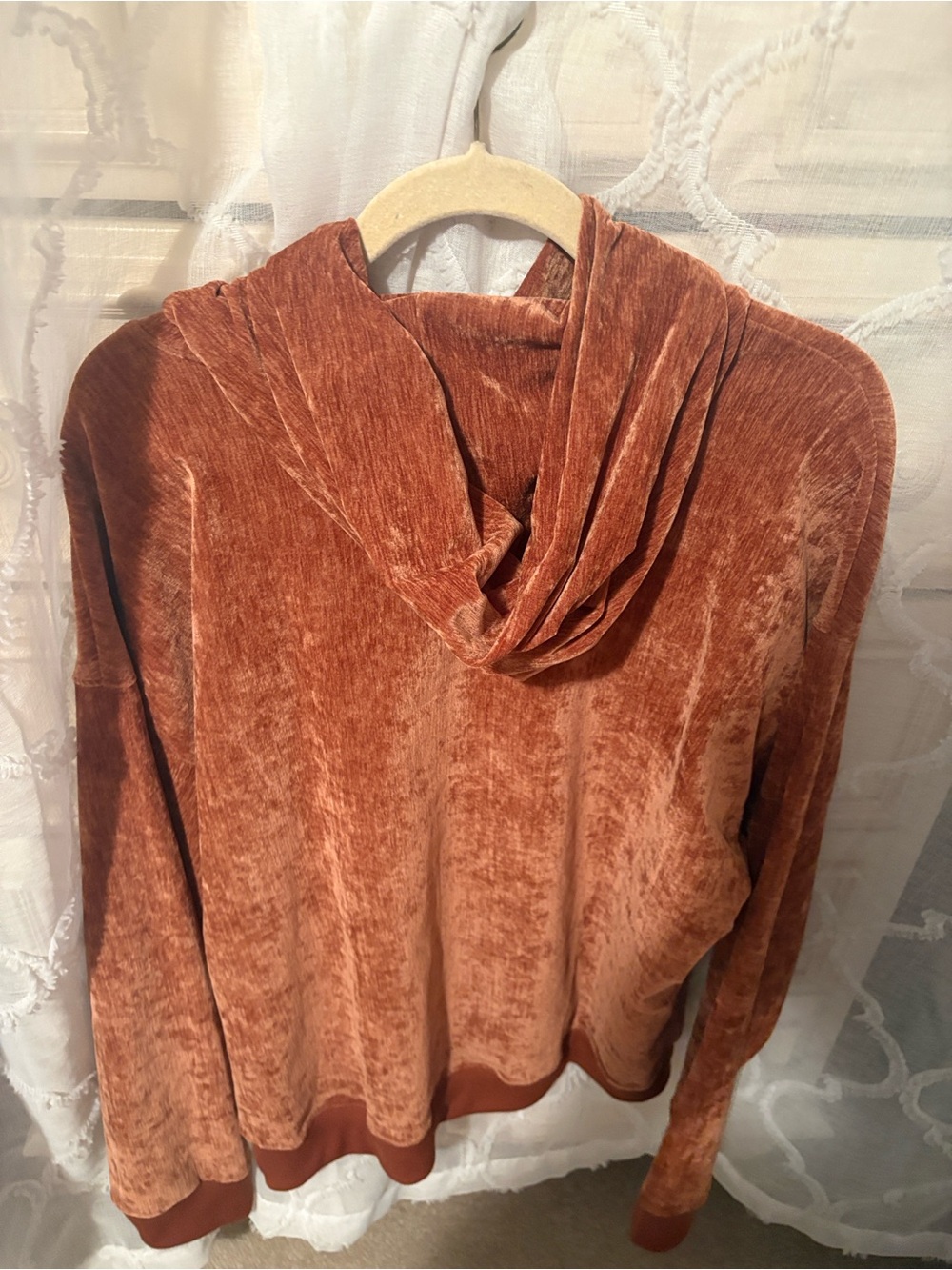 Plush Velvet Hoodie in Rust - Men's Pullover